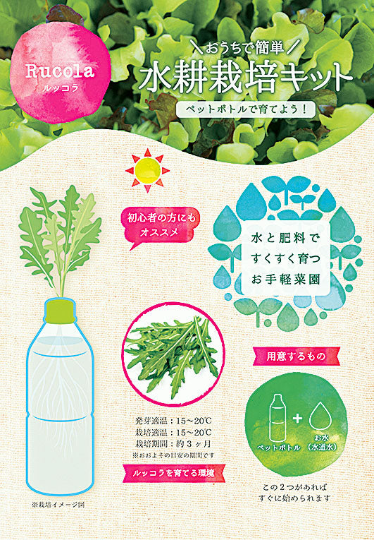 ペットボトルで育てる水耕栽培キット