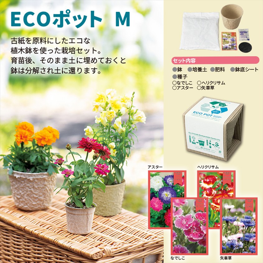 ECOポットM