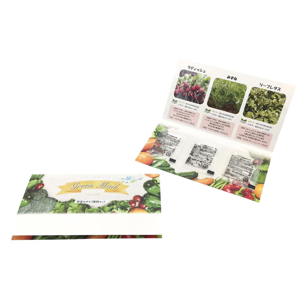 グリーンメール種子3個セット