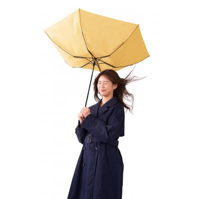 3in1折りたたみ傘1本