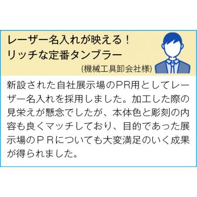 真空ステンレスタンブラー450ml