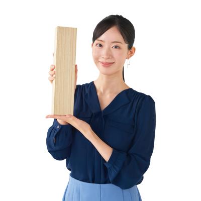 オールステンレス三徳包丁