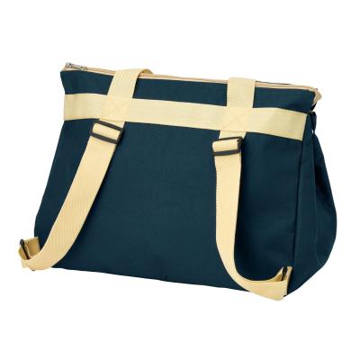 背負えるレジカゴラゲッジ