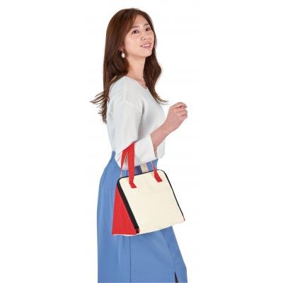 保冷温デルタバッグ1個 - 販促日本一