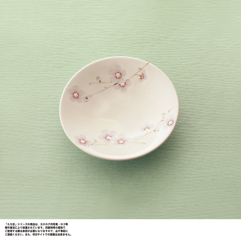 たち吉 さやか花小鉢【種類指定可】