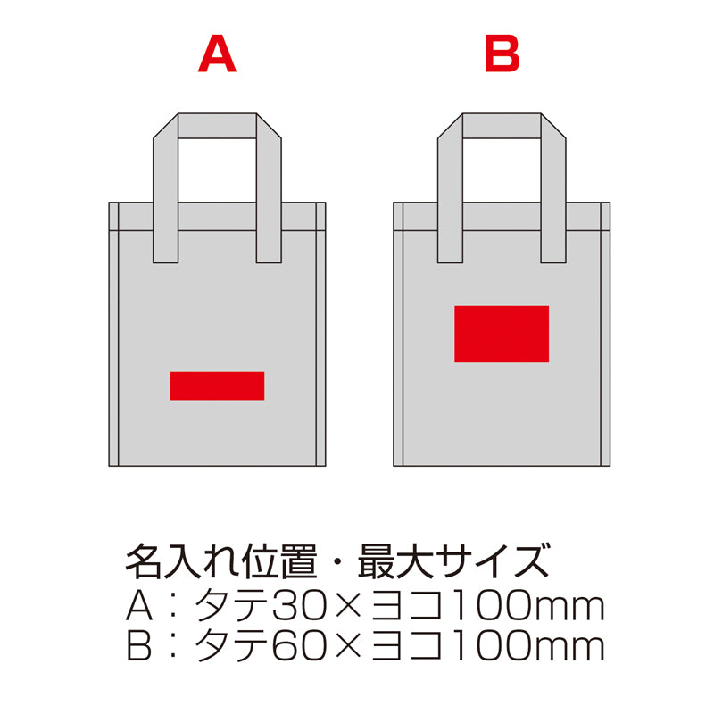 600mlボトルが6本入る保冷温バッグの印刷範囲の写真