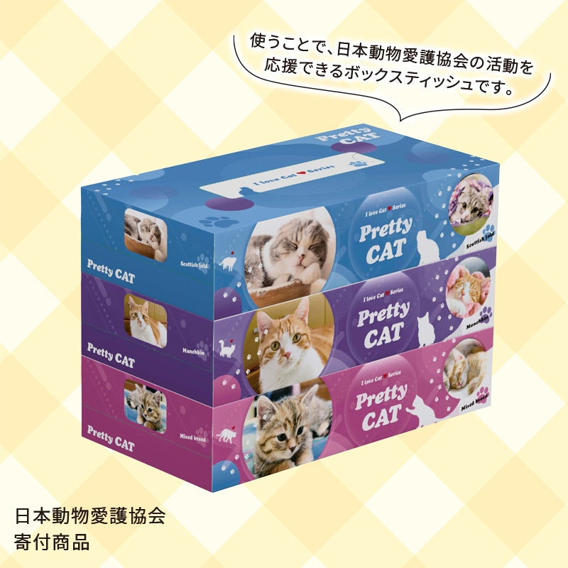 ボックスティッシュ３個組■プリティキャット