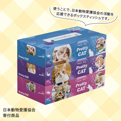 ボックスティッシュ３個組■プリティキャット