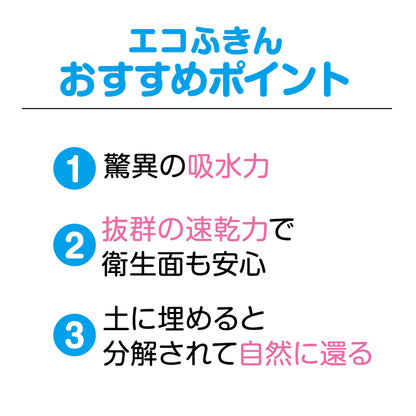超吸水！アートなエコふきん