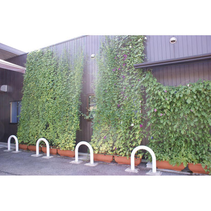 ハートのタネパック