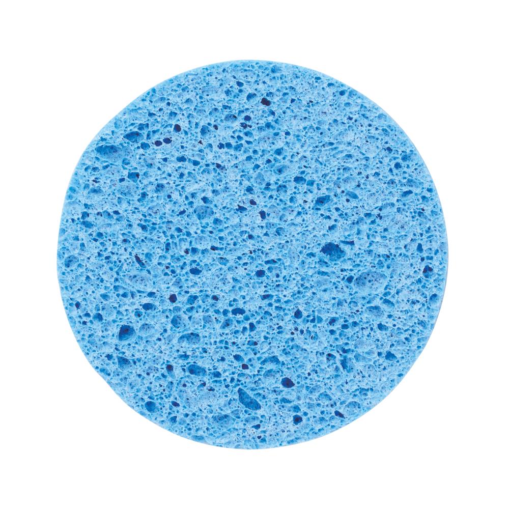 地球スポンジ　＃ＣＯ２排出権付