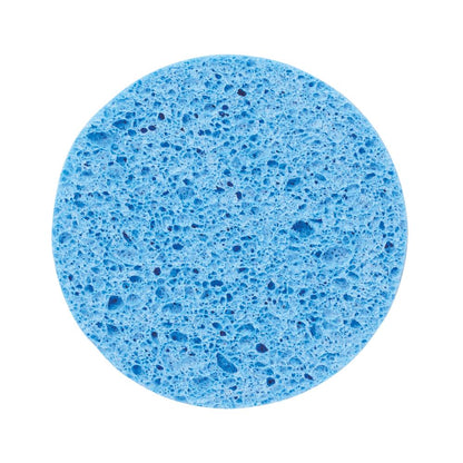 地球スポンジ　＃ＣＯ２排出権付