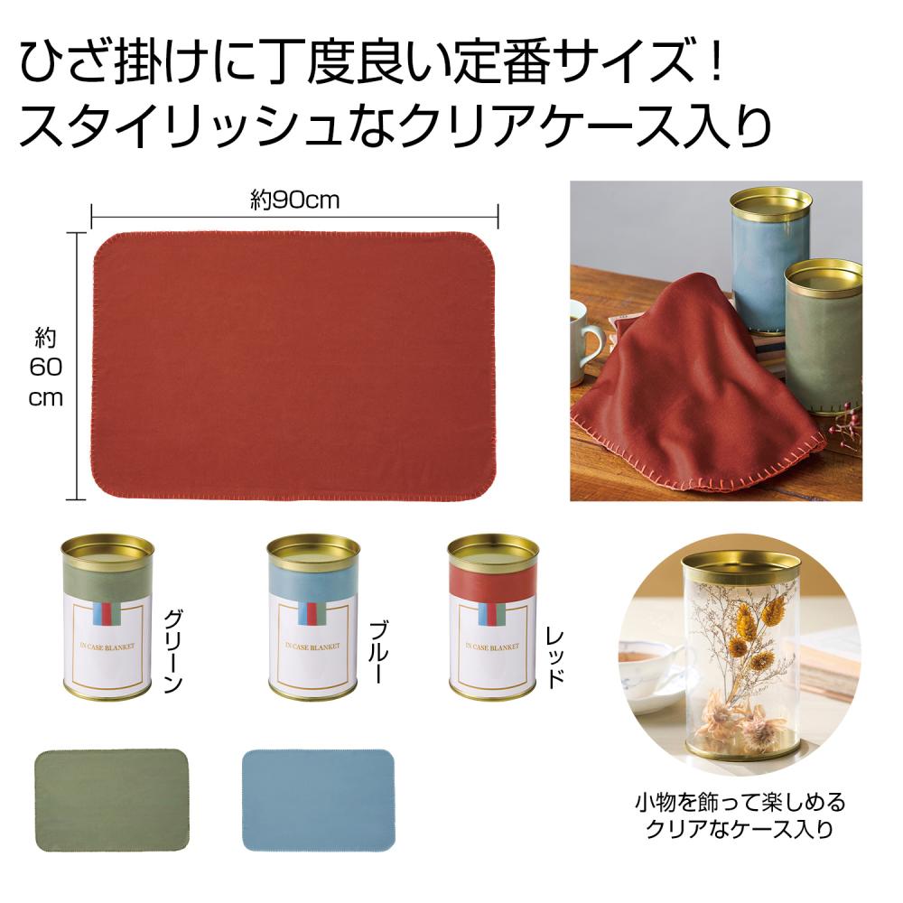 ＩＮ　ＣＡＳＥ　ブランケット１枚