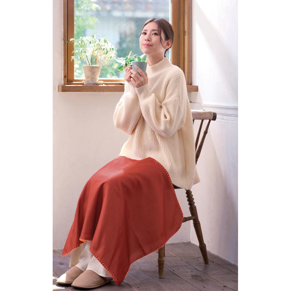 ＩＮ　ＣＡＳＥ　ブランケット１枚