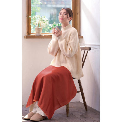 ＩＮ　ＣＡＳＥ　ブランケット１枚