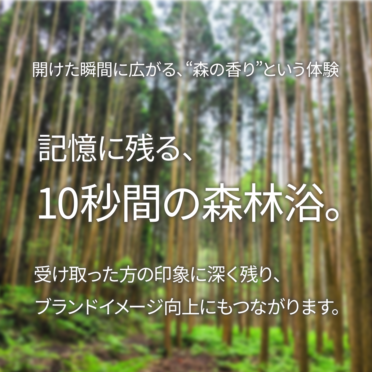 木製丸うちわ（国産杉使用）