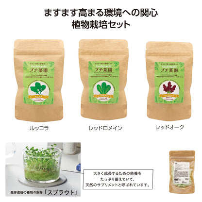 土なしプチ菜園栽培セット