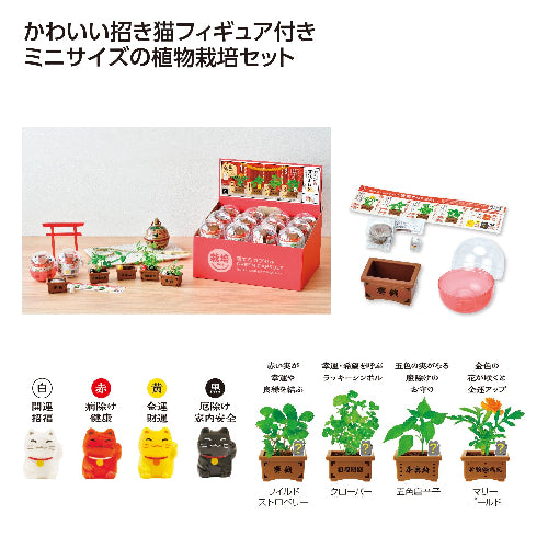 育てるカプセル 賽銭招き　４種