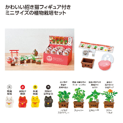 育てるカプセル 賽銭招き　４種