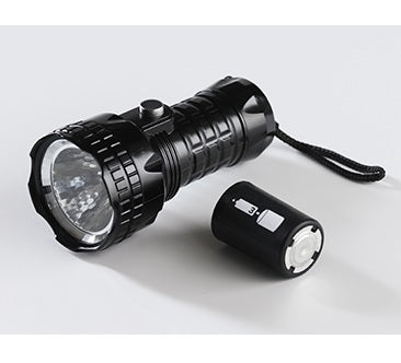 どっちーもハンディライト