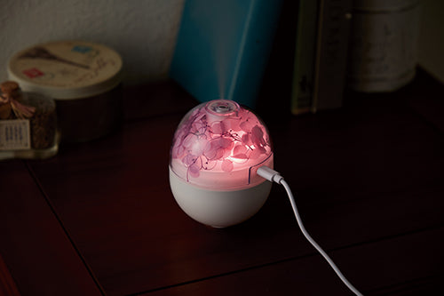花の加湿器（ライト付き）