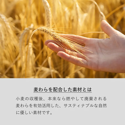 リサイクルA5リングノート（麦わら配合表紙）
