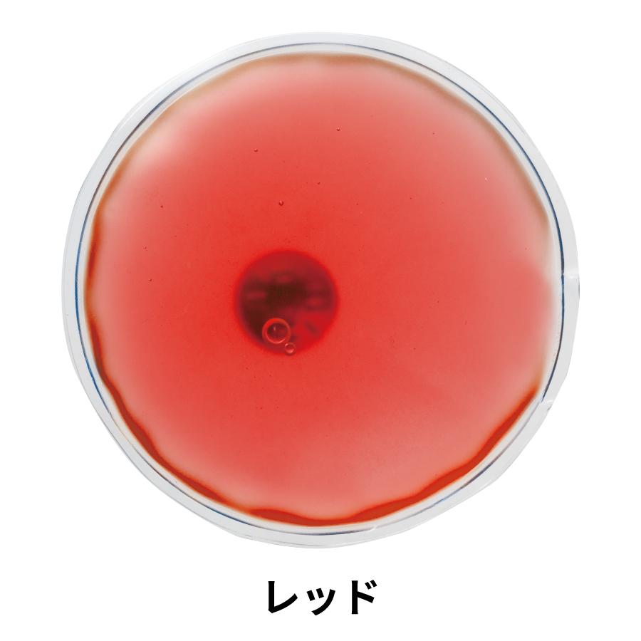 リサイクルecoカイロ　レッド