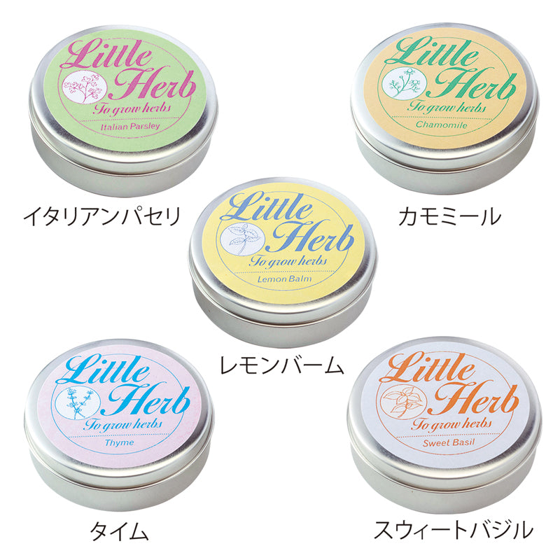 リトルハーブ缶　５種類のハーブ