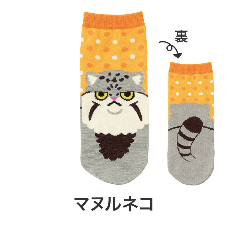 リコマル ペットボトルカバー　マヌルネコ