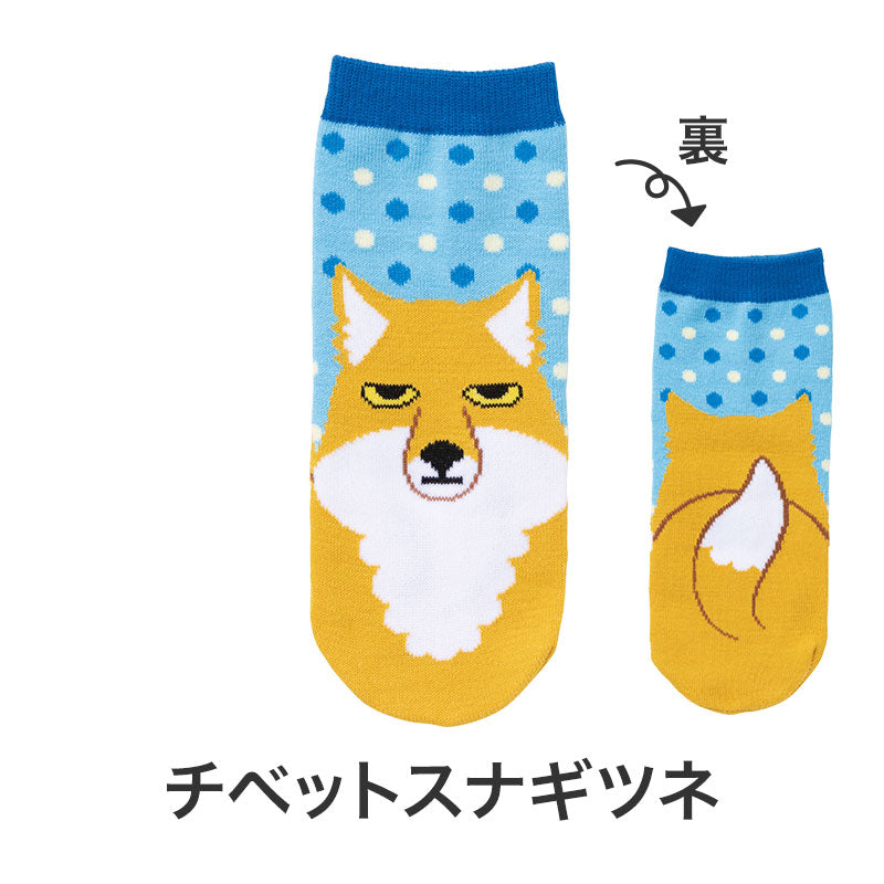 リコマル ペットボトルカバー　チベットスナギツネ