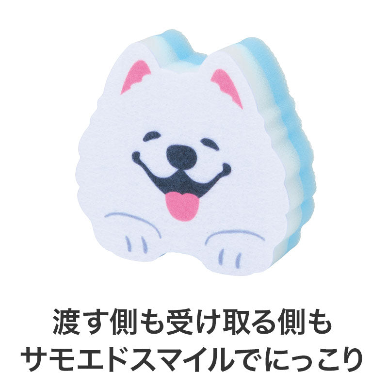 笑顔があふれますように サモエドさんキッチンスポンジ　スポンジ斜め