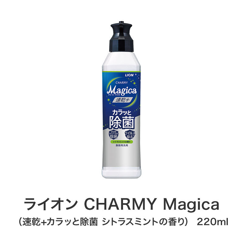 笑顔があふれますように よくばりキッチン5点セット　ライオン　マジカ