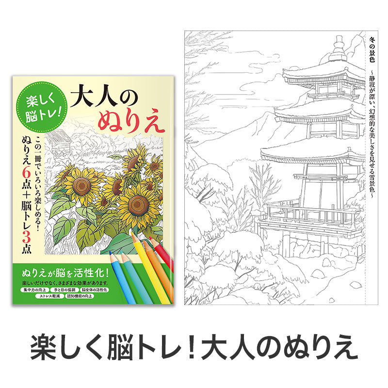 お得な2種セット 楽しく脳トレ！大人のぬりえ　絵イメージ(冬の景色)