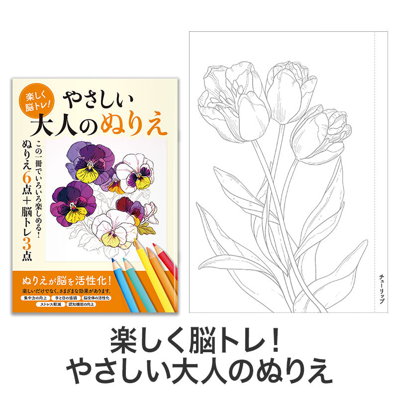 お得な2種セット 楽しく脳トレ！大人のぬりえ　絵イメージ(チューリップ)