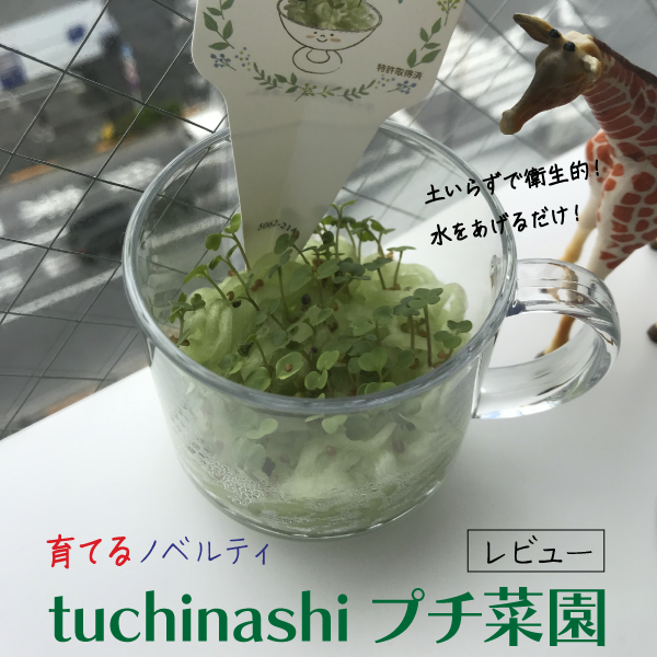 育てるノベルティ「tuchinashiプチ菜園」レビュー